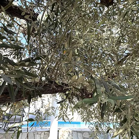 Alpha Sea View With Pool * Volos